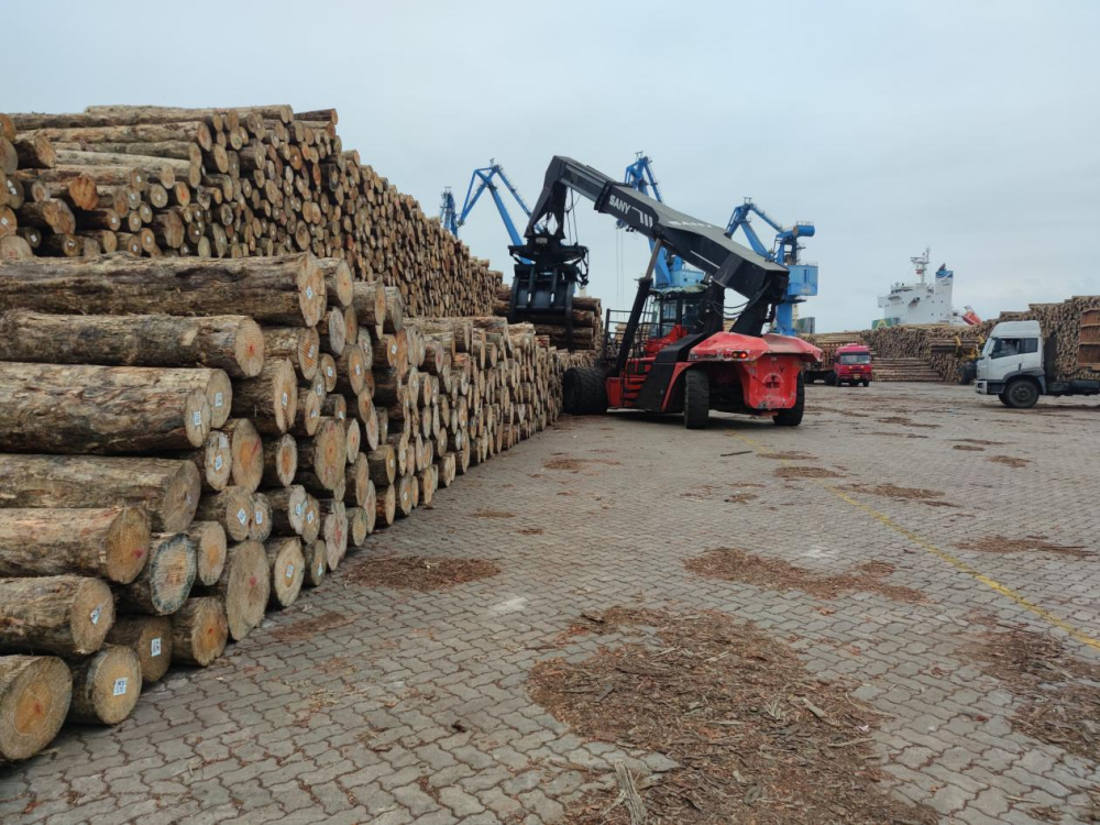 圖片2.png 圖片2.png