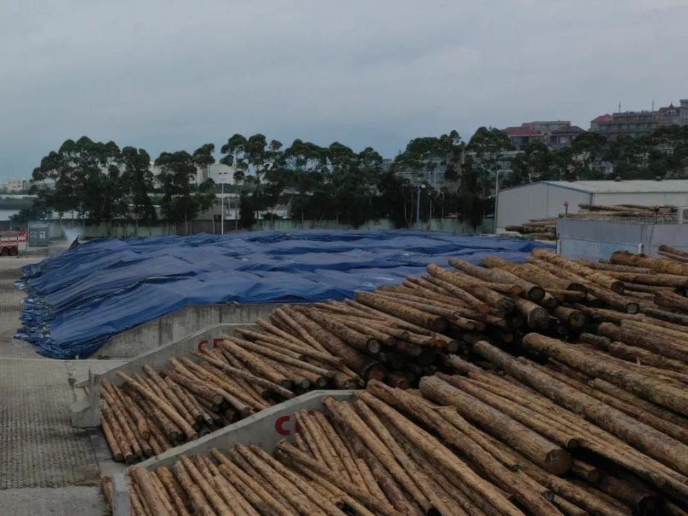 微信圖片_20241125164029.jpg 微信圖片_20241125164029.jpg